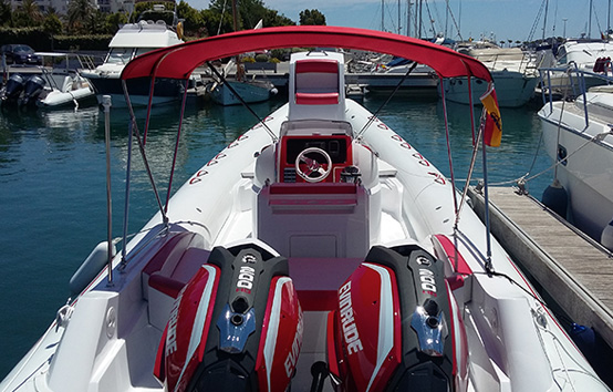 Ibiza zodiac charter selva 900s